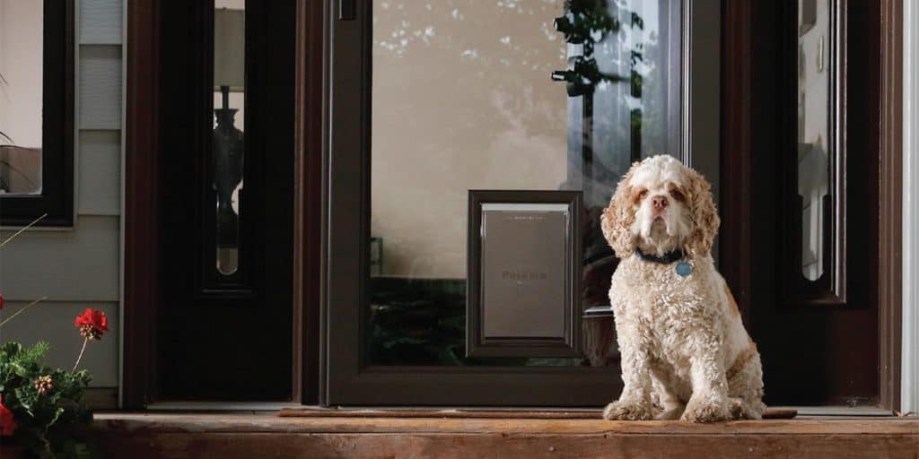 Larson Storm Door with Pet Door
